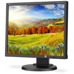 Nec MONITOR 19" LED IPS 1280X1024 VGA DVI DISPLAYPORT HA