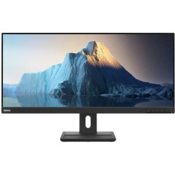 Lenovo MONITOR THINKVISION E29W-20 29"