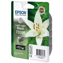 Epson CARTUCHO TINTA NEGRO CLARO S1 T0599 PARA STYLUS PHOTO R2400