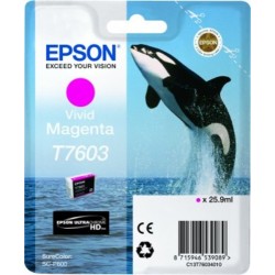 Epson CARTUCHO TINTA T7603 VIVID MAGENTA