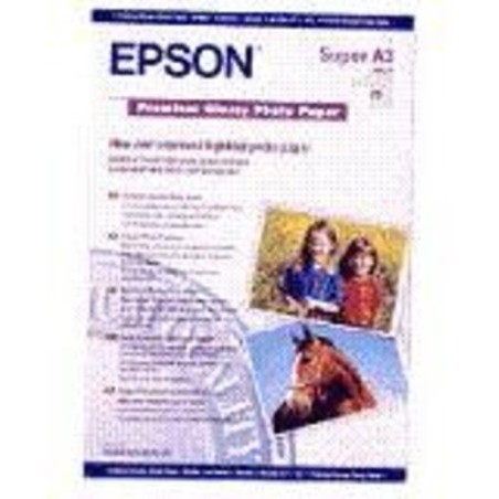 Epson PAPEL PREMIUM BRILLANTE FOTO A3+ M1 PARA STYLUS PHOTO 1270