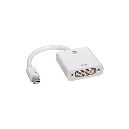 V7 ADAPTADOR MINI DISPLAYPORT A DVI BLANCO