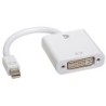 V7 ADAPTADOR MINI DISPLAYPORT A DVI BLANCO