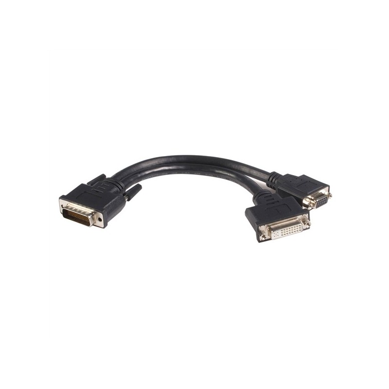 StarTech CABLE 20CM ADAPTADOR DMS LFH59 MACHO A DVI-I Y VGA HEMBRA